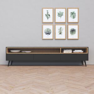 מזנון דגם ״Koral"